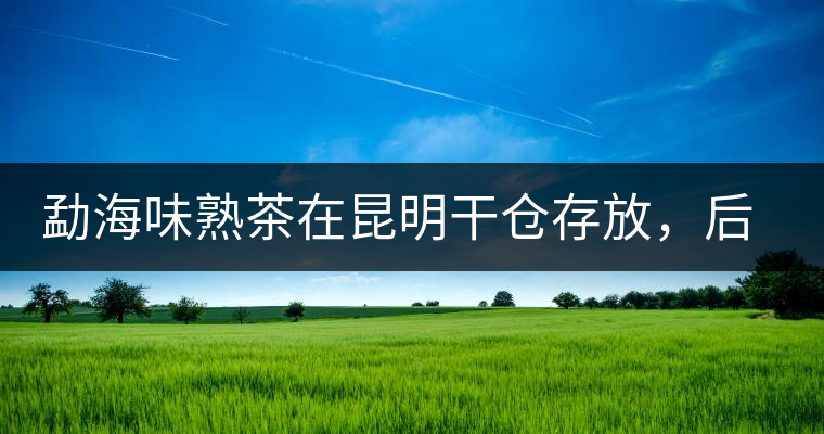 勐海味熟茶在昆明干倉存放，后期轉(zhuǎn)化如何呢？