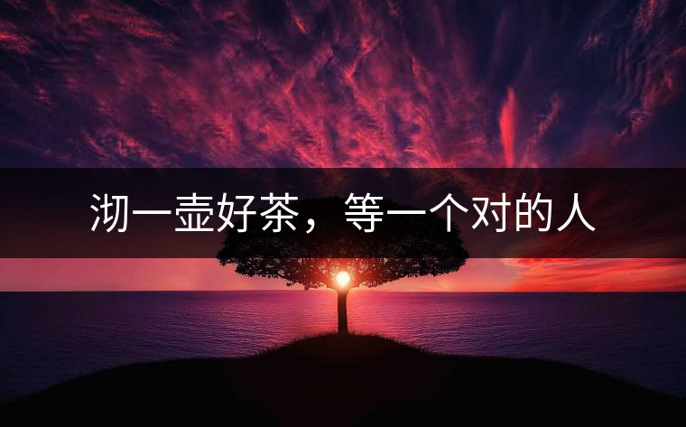 沏一壺好茶，等一個(gè)對(duì)的人