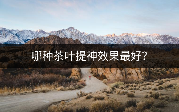 哪種茶葉提神效果最好？