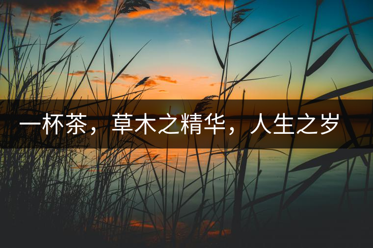 一杯茶，草木之精華，人生之歲月