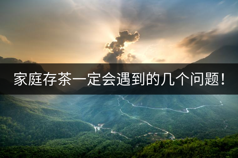 家庭存茶一定會(huì)遇到的幾個(gè)問題！