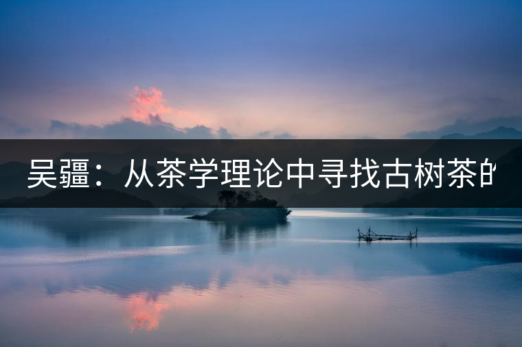 吳疆：從茶學理論中尋找古樹茶的鑒別方法？（讀書筆記3）