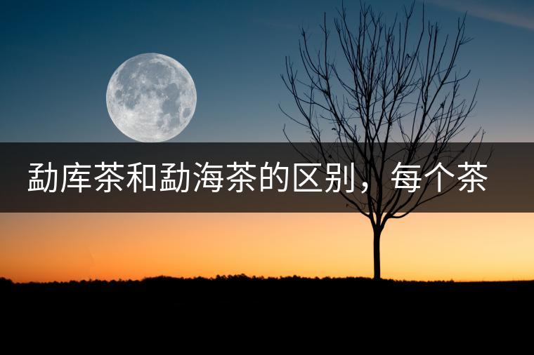 勐庫(kù)茶和勐海茶的區(qū)別，每個(gè)茶友都該了解的選茶常識(shí)！