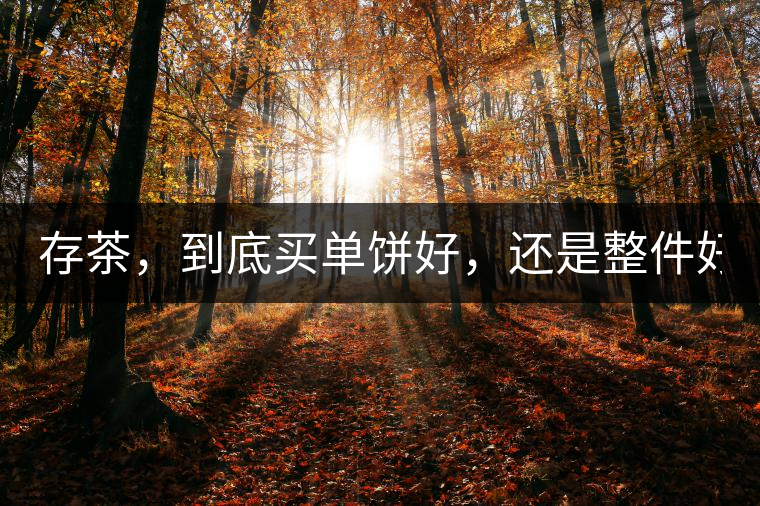 存茶，到底買單餅好，還是整件好？
