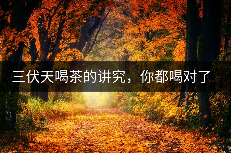 三伏天喝茶的講究，你都喝對了嗎？