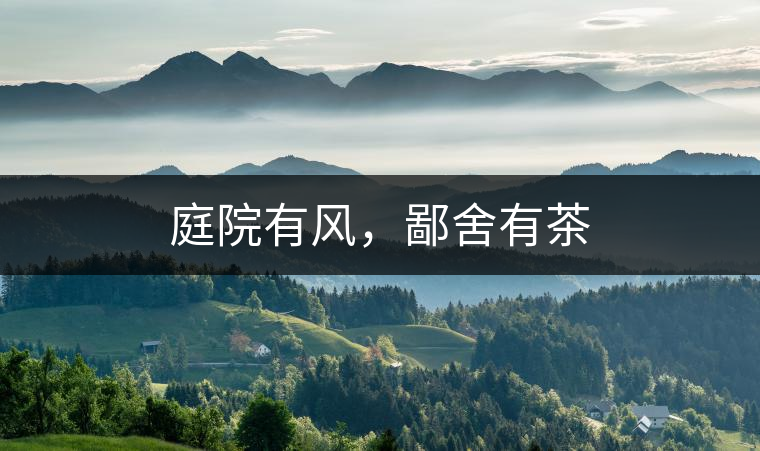 庭院有風(fēng)，鄙舍有茶