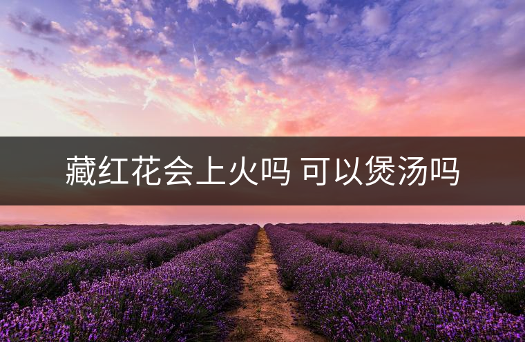 藏紅花會(huì)上火嗎 可以煲湯嗎