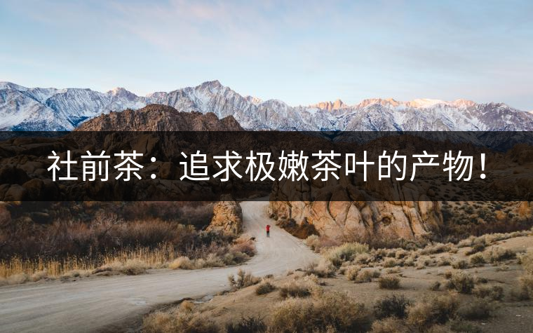 社前茶：追求極嫩茶葉的產(chǎn)物！