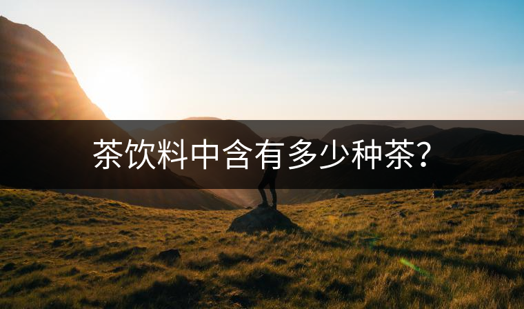 茶飲料中含有多少種茶？