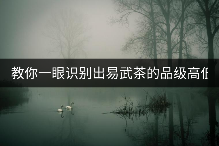 教你一眼識(shí)別出易武茶的品級(jí)高低！