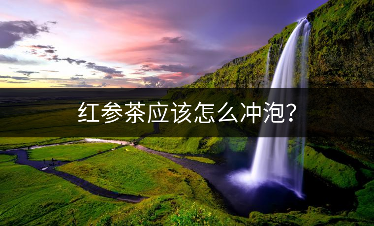 紅參茶應(yīng)該怎么沖泡？