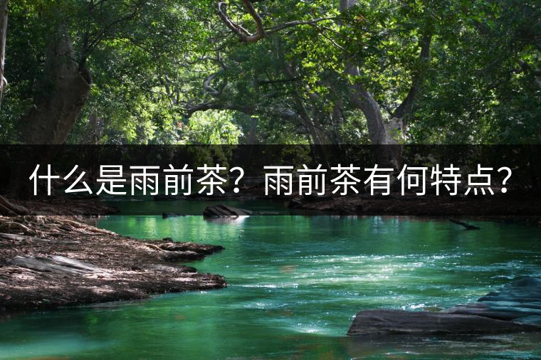 什么是雨前茶？雨前茶有何特點(diǎn)？