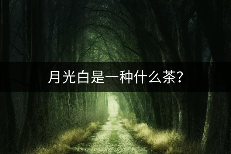月光白是一種什么茶？