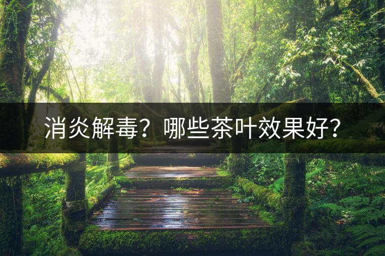 消炎解毒？哪些茶葉效果好？