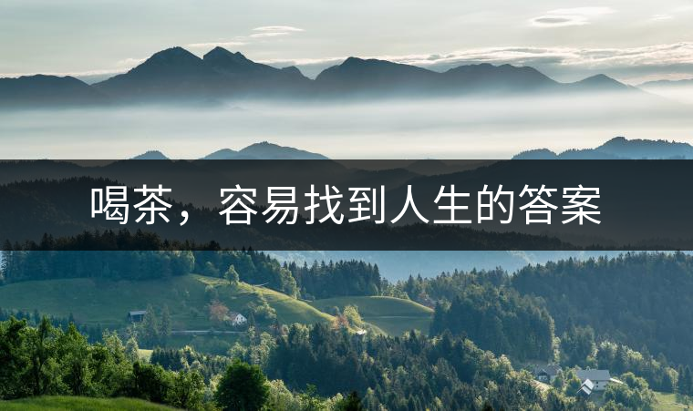 喝茶，容易找到人生的答案