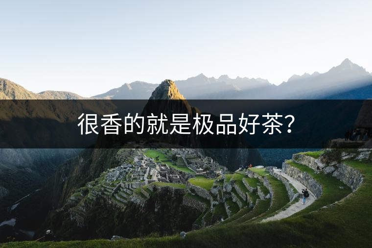很香的就是極品好茶？