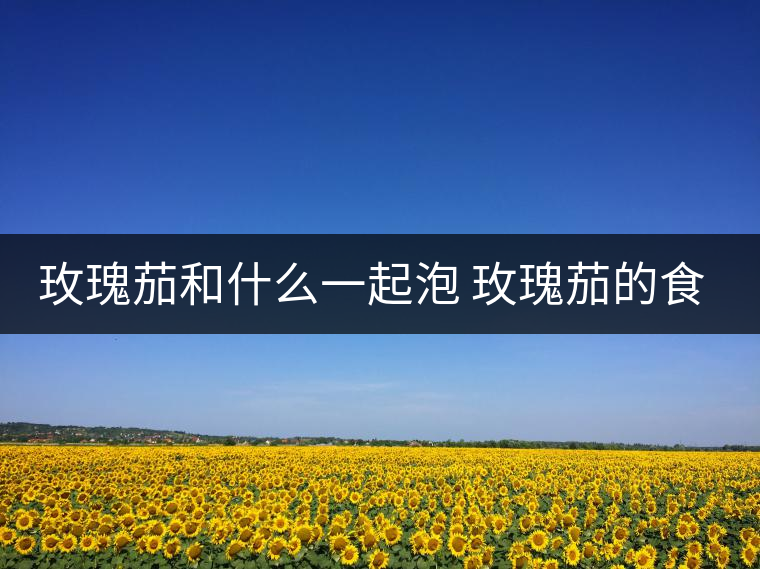 玫瑰茄和什么一起泡 玫瑰茄的食用方法 玫瑰茄和什么一起泡 玫瑰茄的食用方法