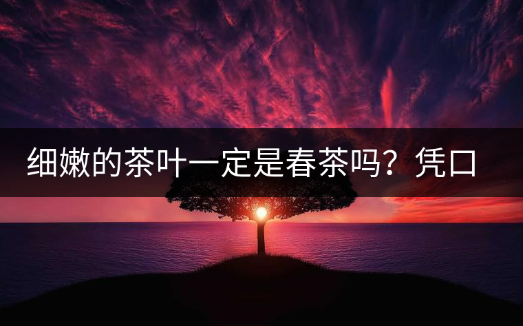 細(xì)嫩的茶葉一定是春茶嗎？憑口感鑒別春茶的方法