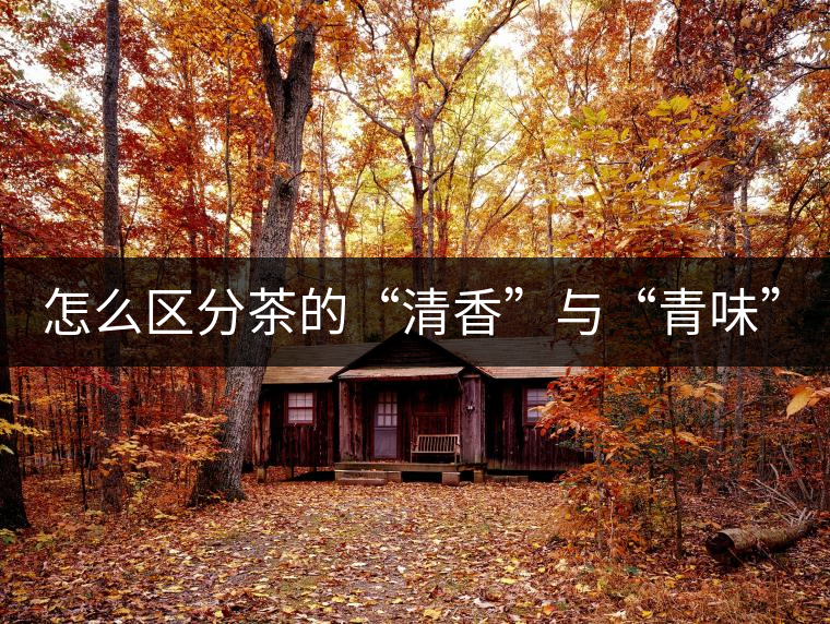 怎么區(qū)分茶的“清香”與“青味”？