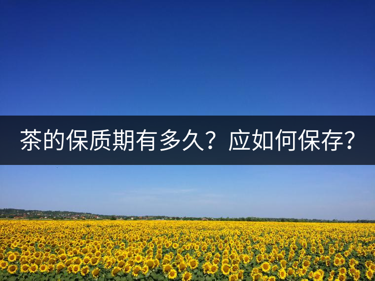茶的保質(zhì)期有多久？應(yīng)如何保存？
