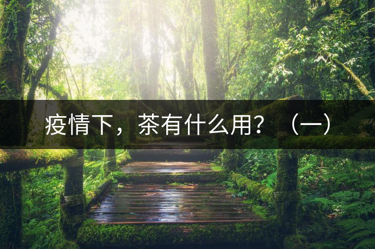 疫情下，茶有什么用？（一）