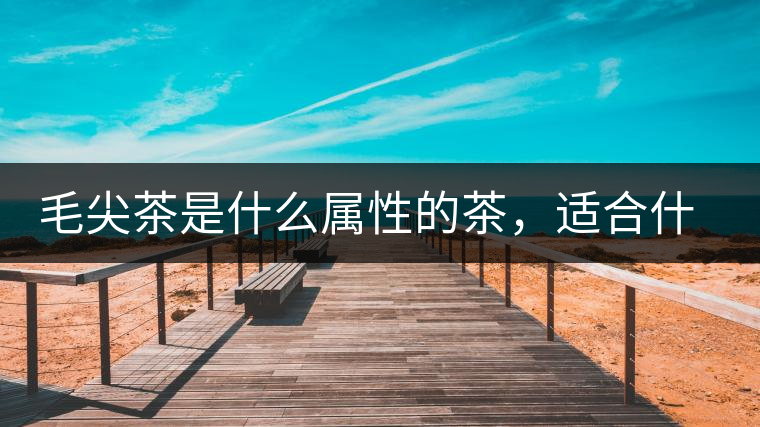 毛尖茶是什么屬性的茶，適合什么群體品飲？