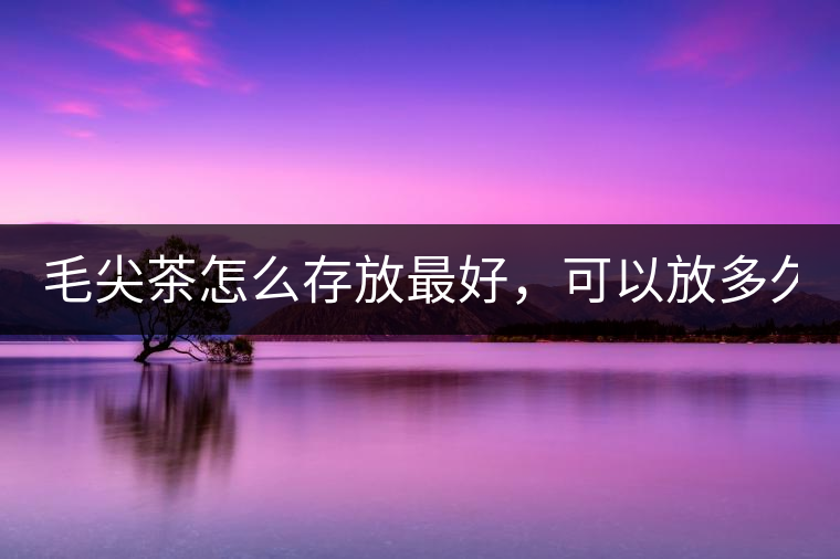 毛尖茶怎么存放最好，可以放多久？