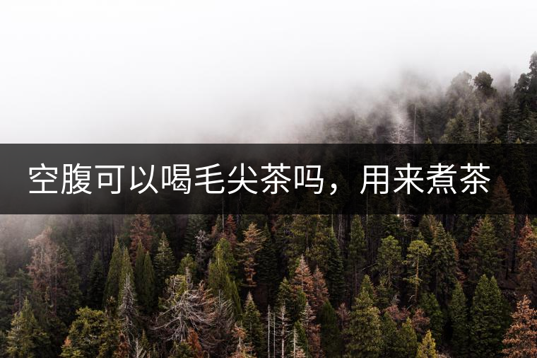 空腹可以喝毛尖茶嗎，用來煮茶葉蛋怎么樣？