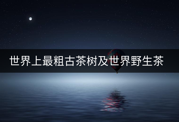 世界上最粗古茶樹及世界野生茶樹王介紹 世界上最粗古茶樹及世界野生茶樹王介紹