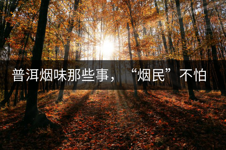 普洱煙味那些事，“煙民”不怕當(dāng)