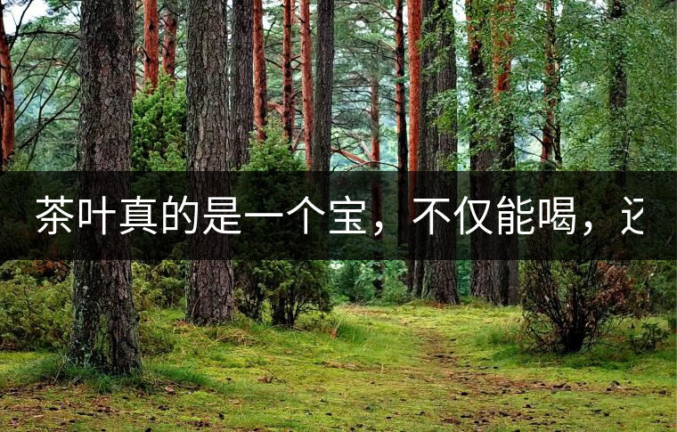 茶葉真的是一個(gè)寶，不僅能喝，還能用！