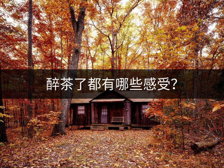 醉茶了都有哪些感受？