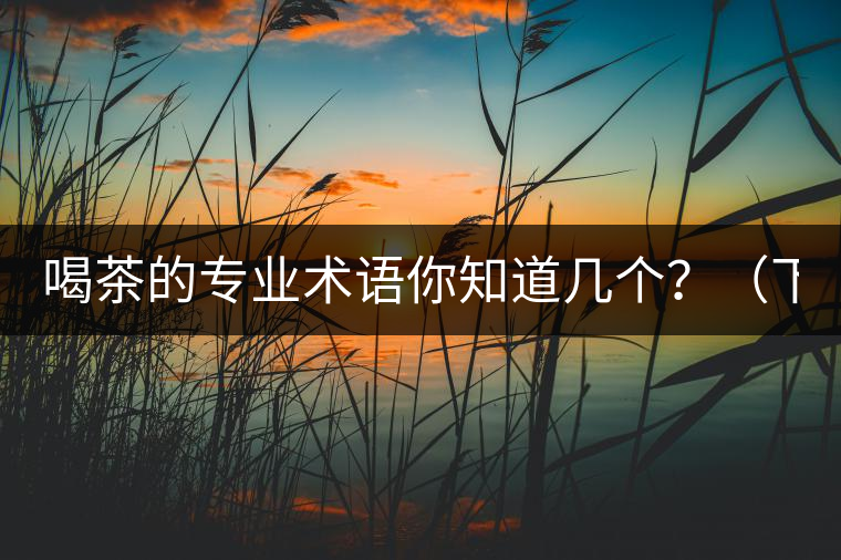 喝茶的專業(yè)術(shù)語(yǔ)你知道幾個(gè)？（下篇）