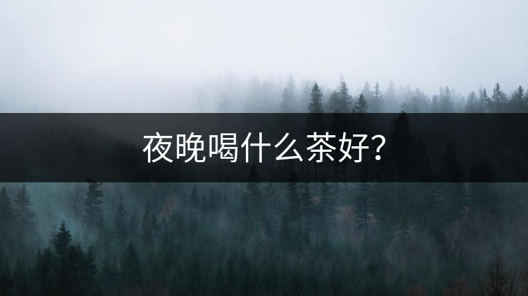 夜晚喝什么茶好？