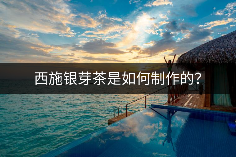 西施銀芽茶是如何制作的？