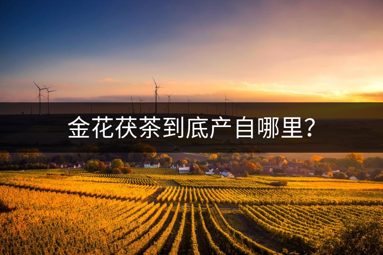 金花茯茶到底產自哪里？