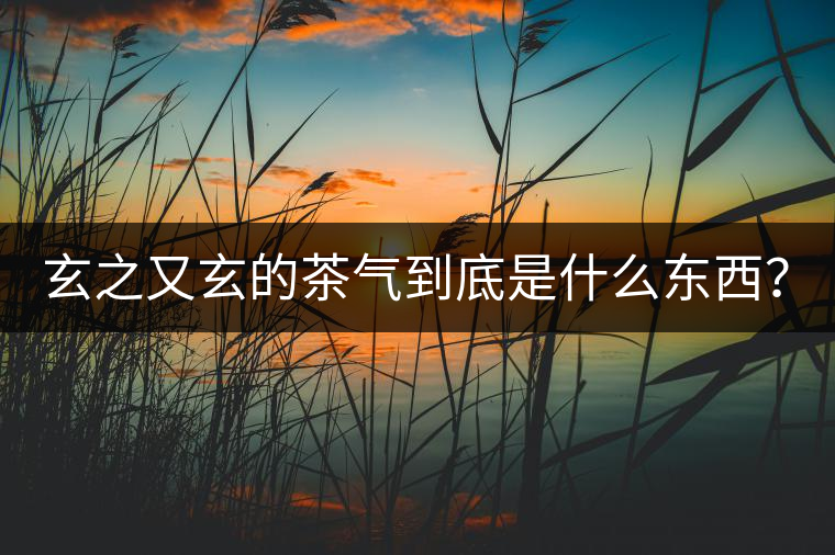 玄之又玄的茶氣到底是什么東西？