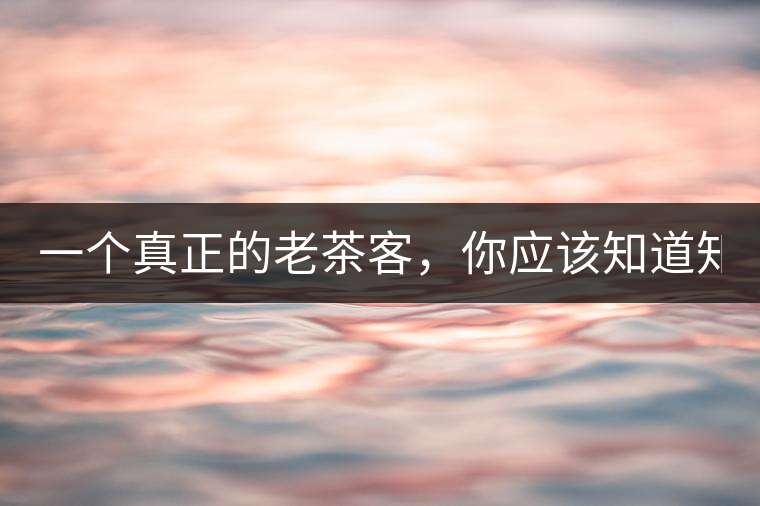 一個(gè)真正的老茶客，你應(yīng)該知道知識(shí)點(diǎn)！