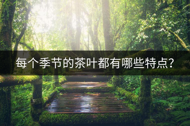 每個(gè)季節(jié)的茶葉都有哪些特點(diǎn)？