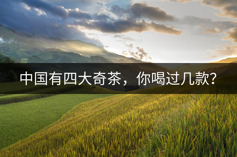 中國有四大奇茶，你喝過幾款？