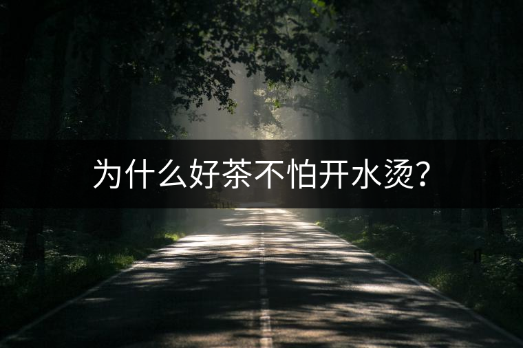為什么好茶不怕開水燙？