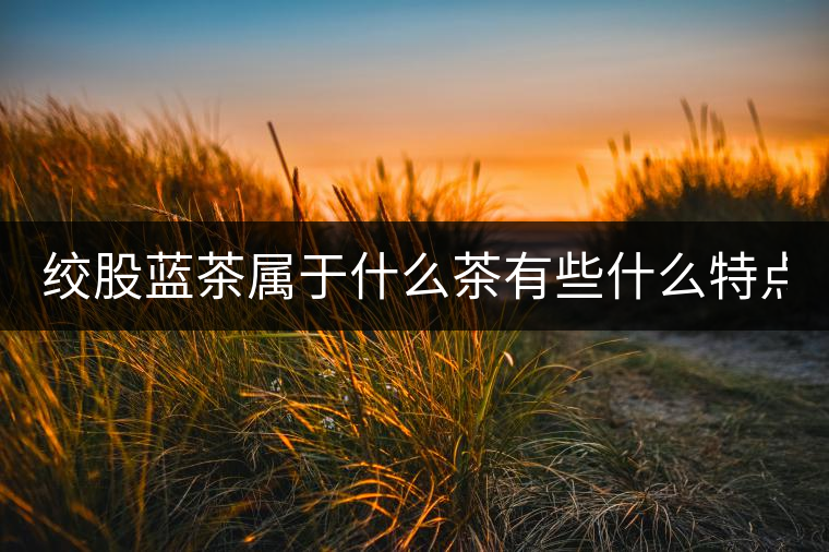 絞股藍(lán)茶屬于什么茶有些什么特點(diǎn)？