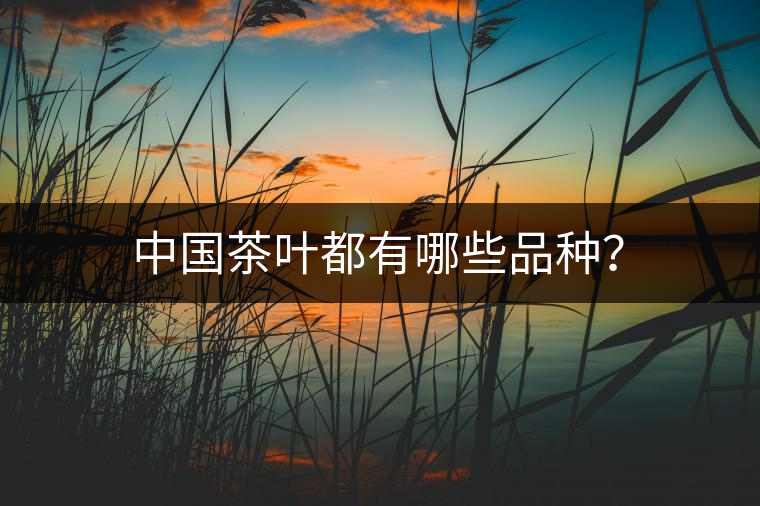 中國茶葉都有哪些品種？