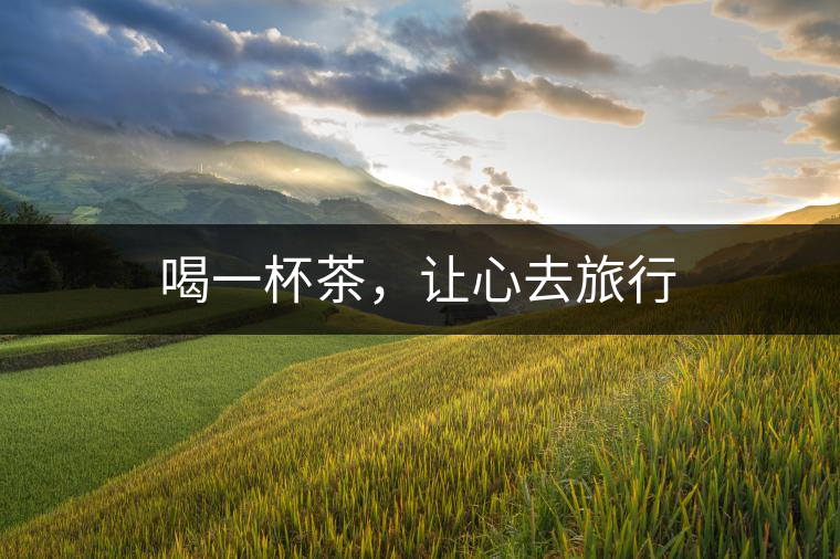 喝一杯茶，讓心去旅行