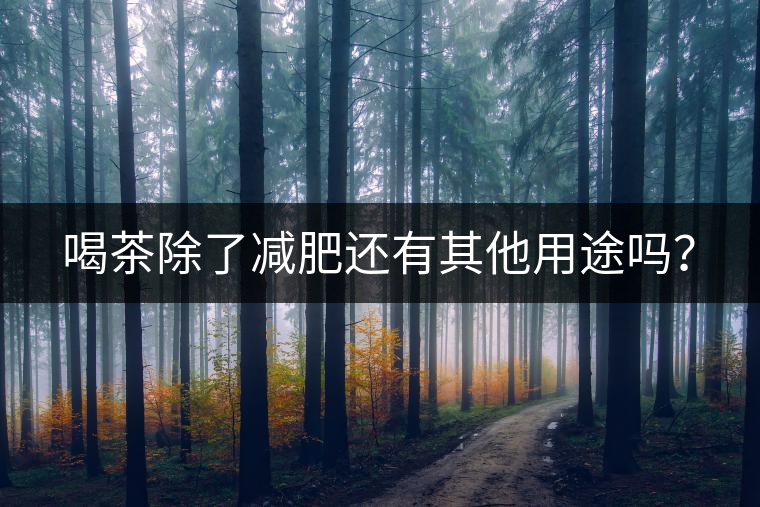 喝茶除了減肥還有其他用途嗎？