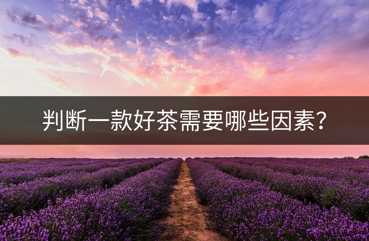 判斷一款好茶需要哪些因素？