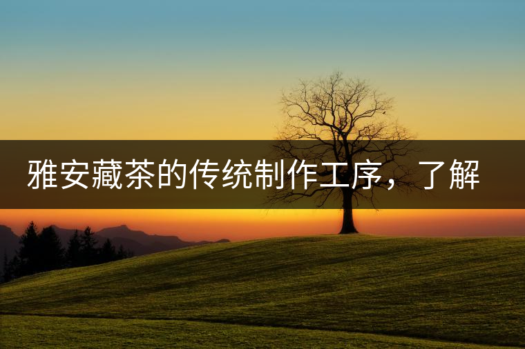 雅安藏茶的傳統(tǒng)制作工序，了解了傳統(tǒng)技藝才能更好的了解茶品！