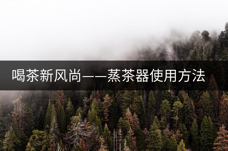 喝茶新風(fēng)尚——蒸茶器使用方法介紹