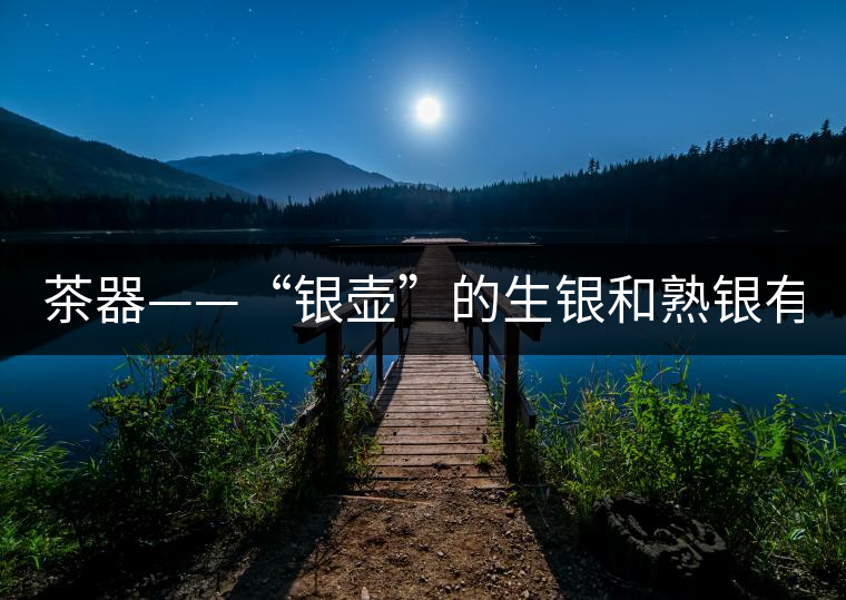 茶器——“銀壺”的生銀和熟銀有什么區(qū)別嗎？