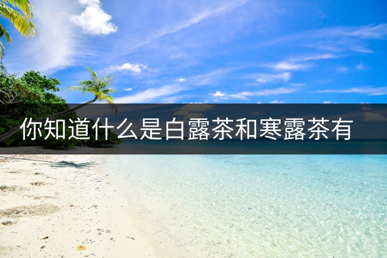 你知道什么是白露茶和寒露茶有區(qū)別嗎？